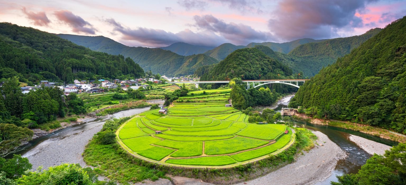 Aragijima rice terrace in Wakayama, Japan Aragijima rice terrace in Wakayama, Japan.