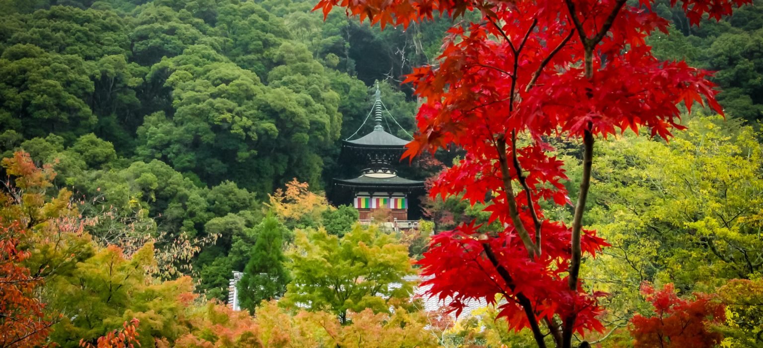 Eikando pagoda and autumn foliage - Kyoto, Japan.