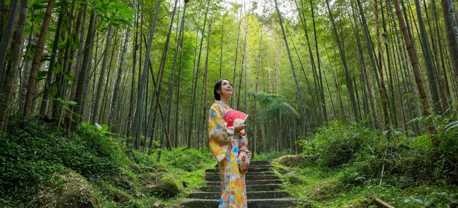 Woman wear kimono in the bamboo forest